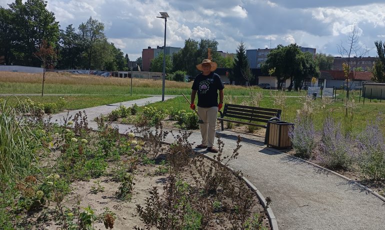 Zielona Oaza Kluczbork – zapraszamy na wspólne pielenie