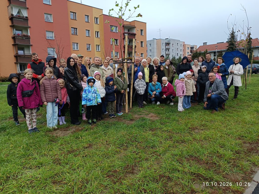 Trzy pamiątkowe platany na terenach SM Metalowiec w Kluczborku